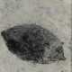 Vente tableaux - 004A09