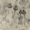 Vente tableaux - 004B12