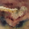 Vente tableaux - 019B02
