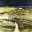 Vente tableaux - 019C24