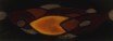 Vente tableaux - 023D01