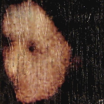 Vente tableaux - 034A08