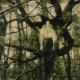 Vente tableaux - 034A32