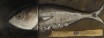 Vente tableaux - 038D20