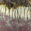 Vente tableaux - 041C12