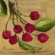 Vente tableaux - 042A123
