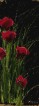 Vente tableaux - 042D19