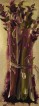 Vente tableaux - 042D24
