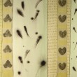 Vente tableaux - 044C01