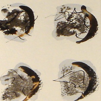 Vente tableaux - 044A03