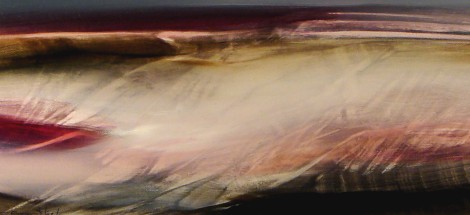 Vente tableaux - 059E11